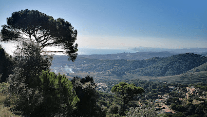 Ballade nature Barcelone